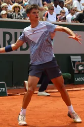 Dino Prizmic